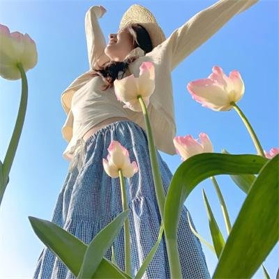 鸡年寻欢